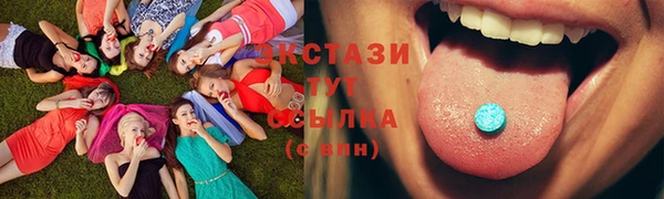 гидра Коряжма