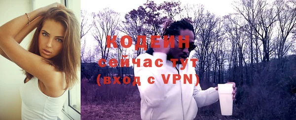гашик Кулебаки