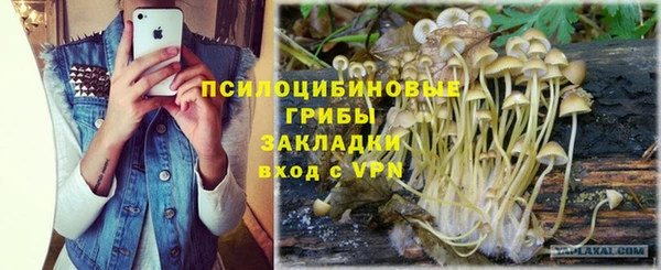 ECSTASY Алексеевка